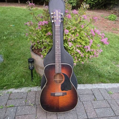 Vintage arbor dreadnought - vintage,